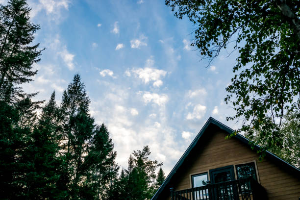 istock Cottage in the forest at sunset 1130287416