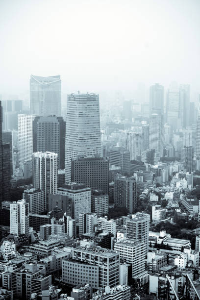 istock Roofs of Tokyo 1130289329