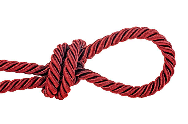 istock Red rope in the form of a loop on white background 1130290536