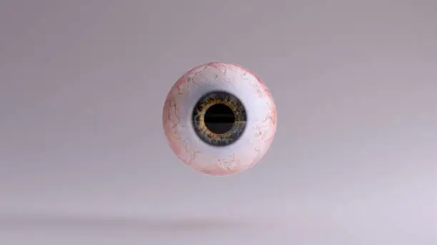 Human Eyeball with 75 Percent Dilated Pupil 3d illustration 3d render