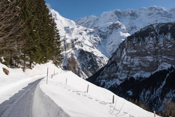 istock Bernese Oberland, switzerland 1130290944