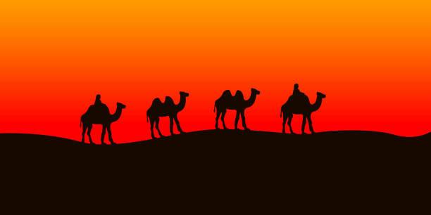 ilustraciones, imágenes clip art, dibujos animados e iconos de stock de caravana de camellos en el desierto del sahara. ilustración de vector - gobi desert