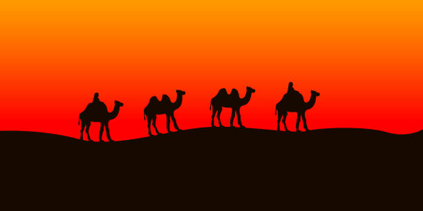 ilustrações de stock, clip art, desenhos animados e ícones de camel caravan going in the sahara desert. vector illustration - gobi desert