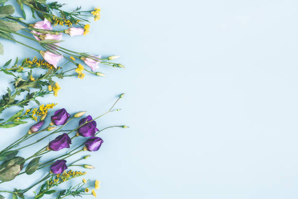 istock Flowers composition. Yellow and purple flowers on pastel blue background. Spring, easter concept. Flat lay, top view, copy space 1130298983