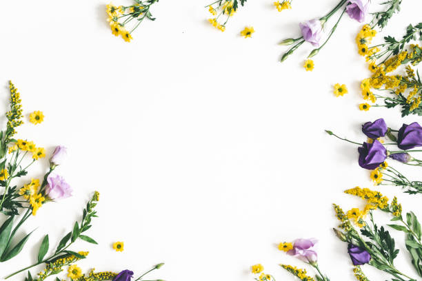 istock Flowers composition. Yellow and purple flowers on white background. Spring, easter concept. Flat lay, top view, copy space 1130299174