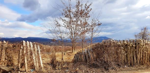 istock Ruined wooden fence 1130300172