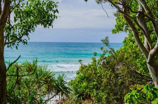 Surfers on the edge of Noosa National Park.