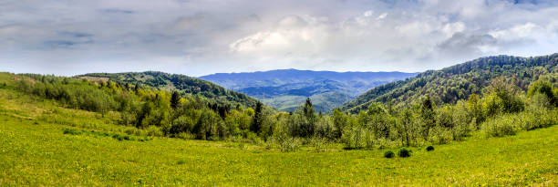 istock panorama of the Carpathian mountains 1130304792