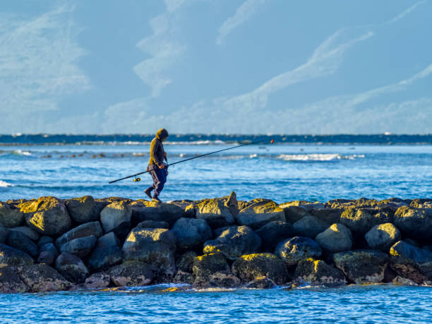 istock Island of Maui in Hawaii 1130304837