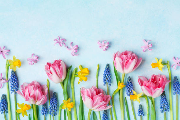 istock Creative composition of beautiful spring flowers on pastel table top view. Greeting card for International Women Day. 1130306203