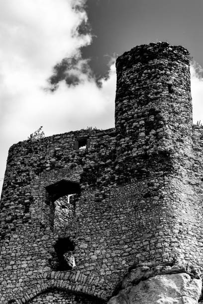 istock Medieval castle ruins details in black and white 1130307427