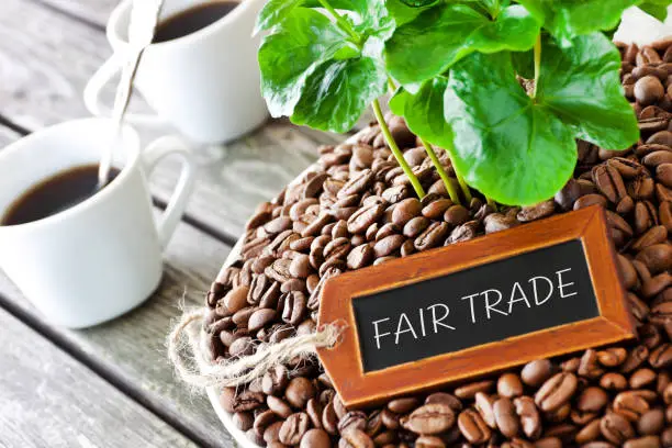 Coffee beans and coffee plant and Fair Trade label close up