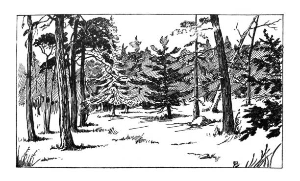 From The Hiawatha Primer - 1898