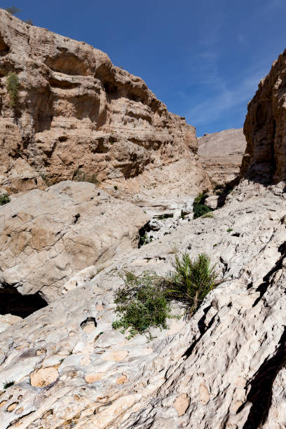 wadi al shab, oman - oasis wadi al shab valley canyon zdjęcia i obrazy z banku zdjęć