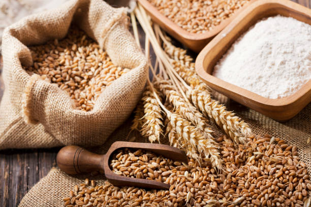 istock grains and wheat ears on a wooden table 1130315136