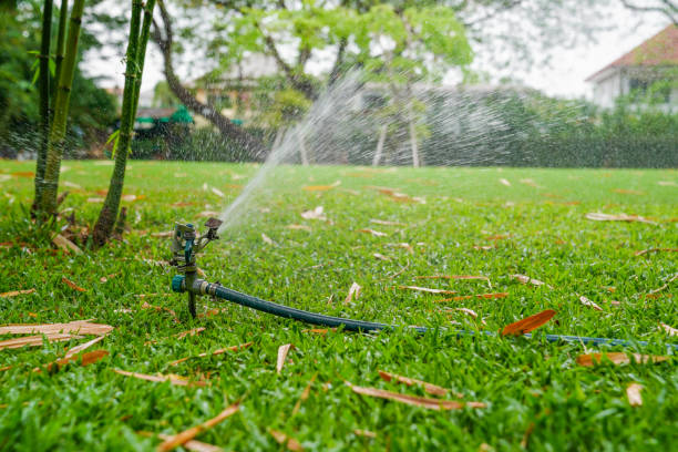 istock sprinkle splashing water on grass 1130316605