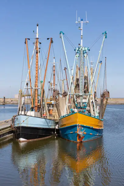 Photo of Prawn fishing boats in Dutch harbor Lauwersoog