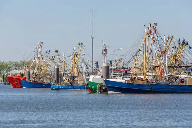 Photo of Prawn fishing boats in Dutch harbor Lauwersoog