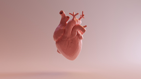istock Pink Porcelain Anatomical Heart 1130318299