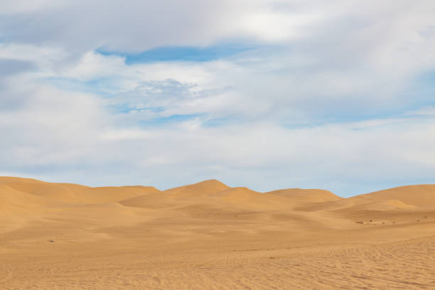 istock The Imperial Sand Dunes in California 1130321056