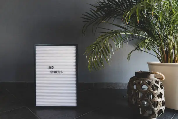 White letterboard. Grey wall. Green plant. With the inscription "NO STRESS"