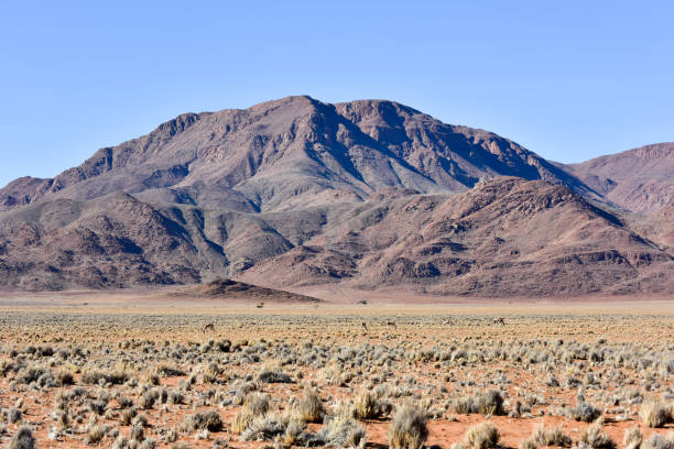 istock Oryx and Desert Landscape - NamibRand, Namibia 1130321143