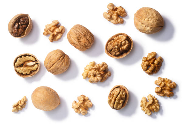 Walnuts j. regia seeds, paths, top Walnuts (Juglans regia seeds), whole, shelled, halves and partially cracked, top view regia stock pictures, royalty-free photos & images