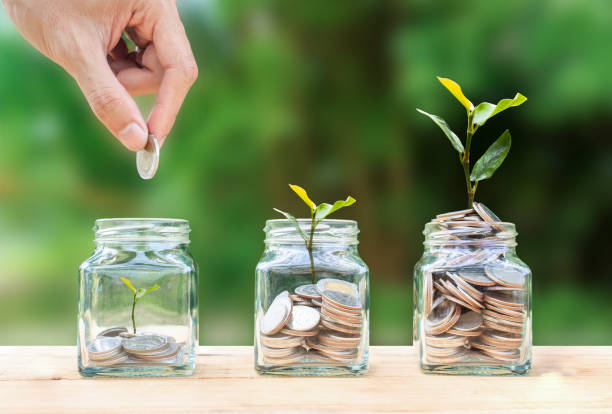 Money savings, investment, making money for future, financial wealth management concept. Money savings, investment, making money for future, financial wealth management concept. A man hand holding coin over stacked coins in glass jar and growing tree plant depicts Fund growth and wealth. investment stock pictures, royalty-free photos & images