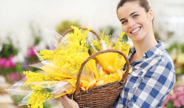 mujer sonriente con la cesta llena de flores de primavera de mimosa, concepto de día de la mujer 8 de marzo - wicker basket store gift shop fotografías e imágenes de stock