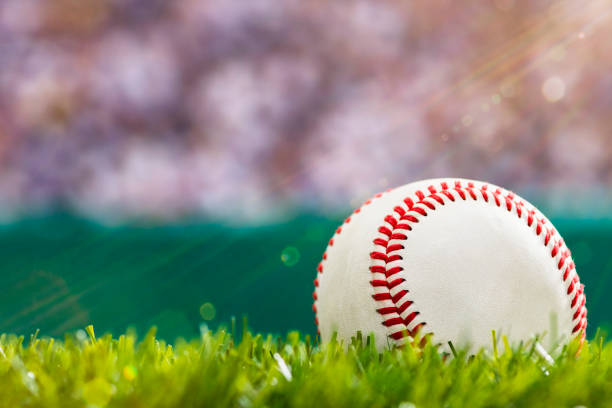 close-up de uma nova bola de beisebol, sentado na grama outfield de um estádio com a multidão e raios solares. - baseballs sport grass ball - fotografias e filmes do acervo