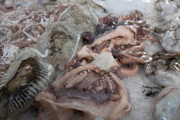 istock Fresh seafood, fresh squids and octopuses on the counter. 1130327838