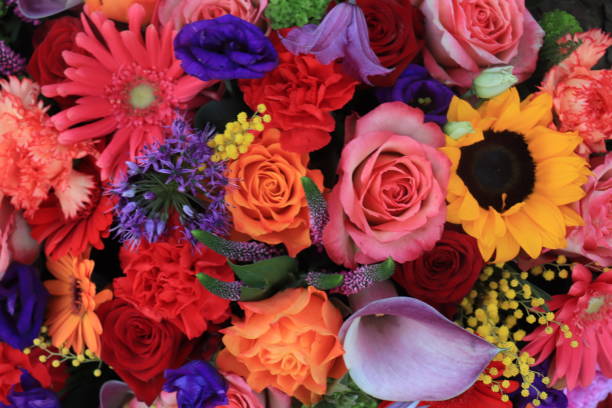 istock Bright colored flower bouquet 1130327898