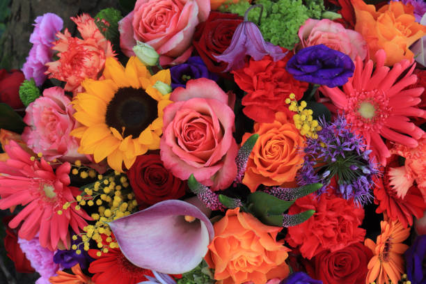 istock Bright colored flower bouquet 1130328591