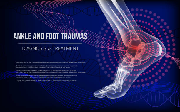 발목과 발 관절 충격에 대 한 수평 어두운 블루 배너 - human bone anatomy x ray image human skeleton stock illustrations