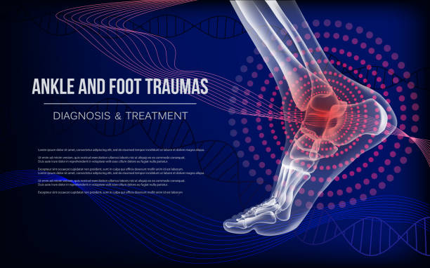 Horizontal dark blue banner for ankle and foot joints traumas Ankle sore joints concept. Realistic bones of foot skeleton of human leg. Horizontal dark blue banner for ankle and foot joints traumas advertising, medical publications. Vector illustration stock. human spine stock illustrations