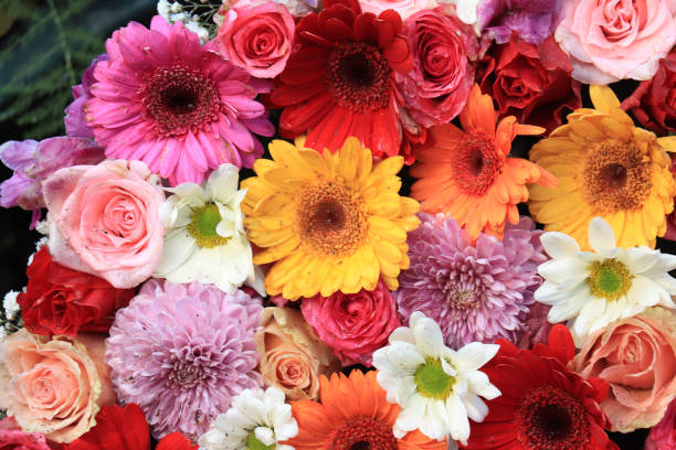 istock Colorful wedding flower arrangement 1130328715