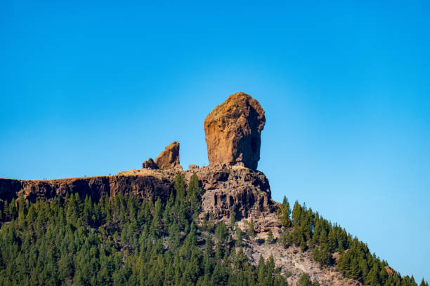 istock Landscape of Grand Canary 1130328799