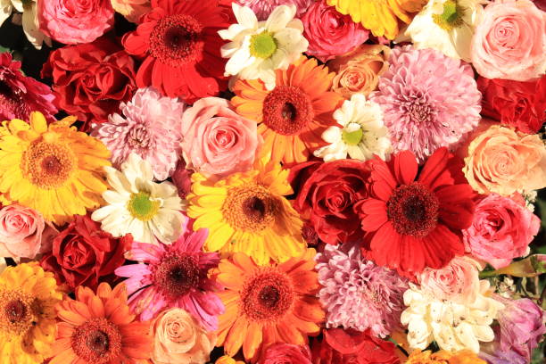 Colorful wedding flower arrangement stock photo