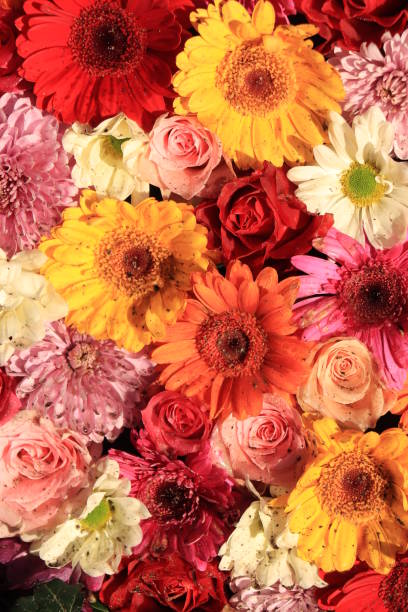 istock Colorful wedding flower arrangement 1130328877