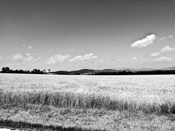 Beautiful outdoors in black and white