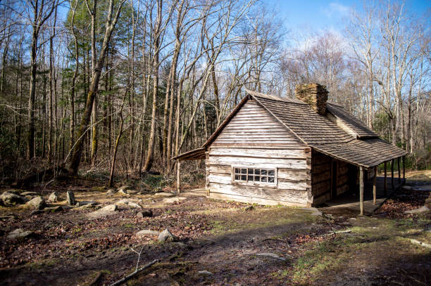 istock Great Smoky Mountains Cabin 1130330838