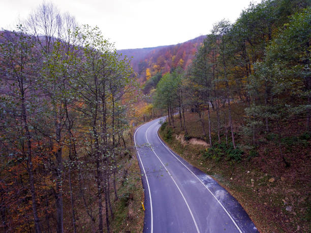 istock Road through autumnal forest - aerial view 1130332154