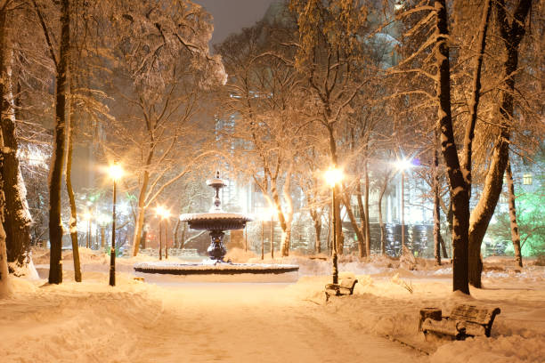 istock Snow in the Mariinsky park 1130332465