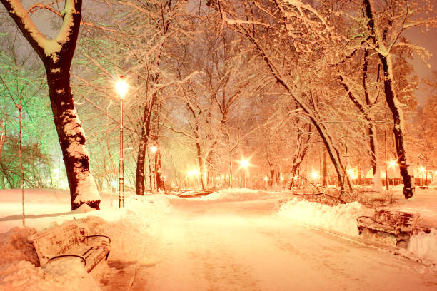 istock Snow in the Mariinsky park 1130332481