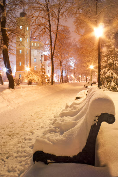 istock Snow in the Mariinsky park 1130332501