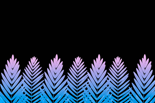 Tropical palm leaves in vibrant bold gradient neon colors. Abstract, Minimal surreal background. Summer concept.