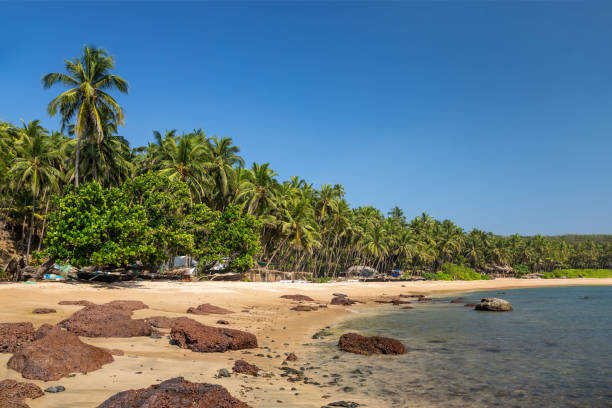 istock Tropical beach with rocks and palm trees 1130335358
