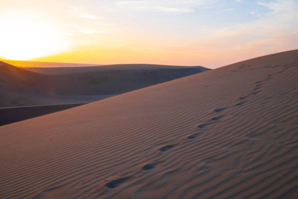 istock Sunset in the Dunes of Maspalomas, Gran Canaria 1130336604