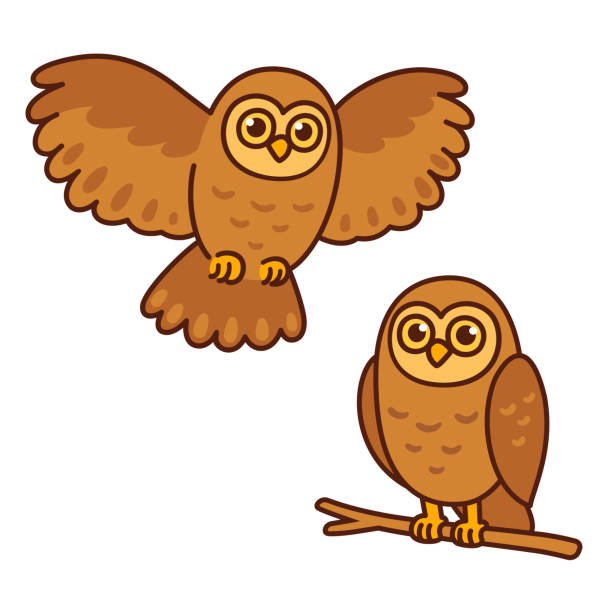 Cute Cartoon Owl Set Stock Illustration - Download Image Now - Flying, Owl,  Bird - iStock