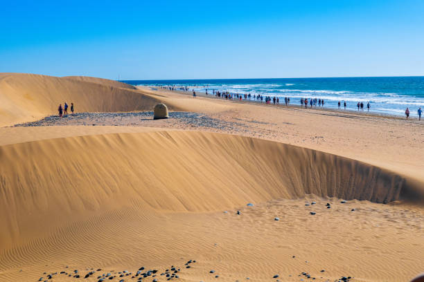 istock Dunes of Maspalomas, Gran Canaria 1130340796